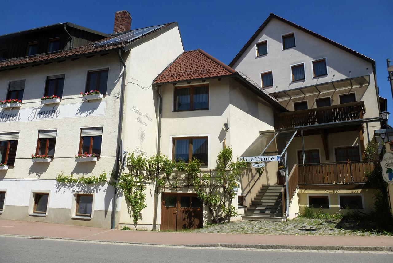 Blaue Traube 호텔 Gebenbach 외부 사진